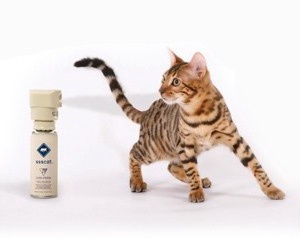Kit Spray Repelente Petsafe